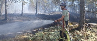 Byggnader hotades vid skogsbrand utanför Linköping 