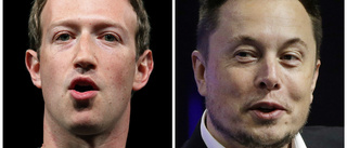 Zuckerberg och Musk redo att fajtas i buren