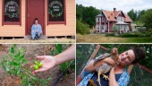 Smakstart för nya gårdsbutiken – har haft flera tusen besökare