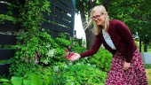 Hon är hjärnan bakom Norrköpings nya park