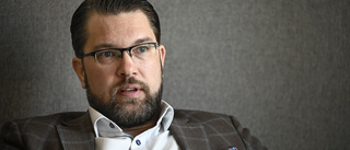 Minister kritiserar Åkessons kulturutspel