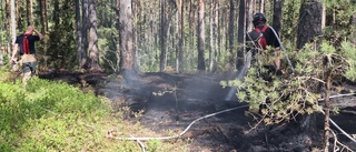 Skogsbrand blossade upp igen