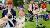 1 400 hundar gjorde upp i Sjulnäs under helgen