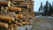 Sveaskog klarar leveranserna till sågverken i Norr- och Västerbotten