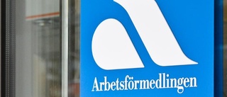 Arbetsförmedlingen i Norrbotten satsar på Europasamarbete