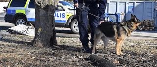 Polisens hundverksamhet ses över - så ser planen ut för Skellefteå