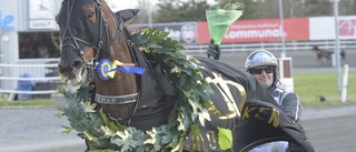 Premier Kronos femma med galopp