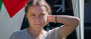 Greta Thunberg bortförd av polis