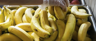 Fyndet bland bananerna: Kilovis med kokain