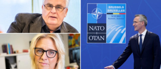 ”En fråga som många våndas över” • På söndag fattas Nato-beslutet – inom (S) på Gotland går åsikterna isär