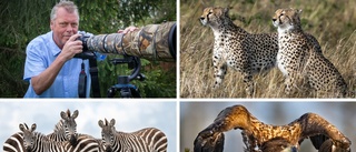 Gert fotograferar på afrikanska savannen: "Det är fascinerande"
