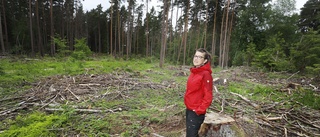 Hundratals granar avverkade i Kronskogen – många reaktioner: "Tagit ner träden av säkerhetsskäl" 