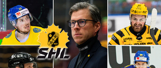 Forssell hemlighetsfull – många namn cirkulerar kring AIK:s forwardssida: ”Vi jobbar hårt i det tysta”