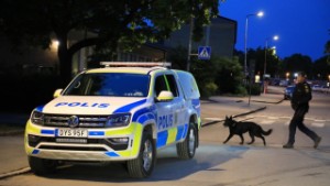 Stor polisinsats: Tonåring med pistol greps i Gränby