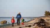 Upptäck Gotland genom att vandra, cykla eller paddla 