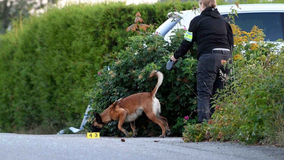 Polisens tekniker på plats med sökhund vid den misstänkta brottsplatsen.