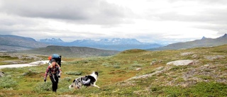 Regeringen satsar miljoner på fjällen