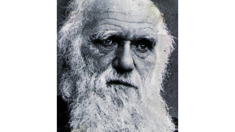 Charles Darwin hade kanske aldrig fått Nobelpriset om det hade funnits på hans tid - trots att hans teori om det naturliga urvalet är den kanske mest banbrytande vetenskapliga upptäckten genom tiderna.