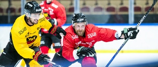 Luleå Hockey kan säkra avancemang i CHL – i helgen • Nyförvärvet debuterar – får chansen i powerplay: "Extremt bra"