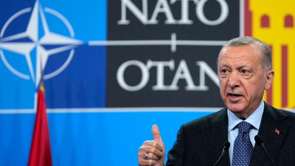 Turkiets auktoritära president Erdogan har använt Sveriges NATO-ansökan för att ge sig på sina politiska motståndare i utlandet.