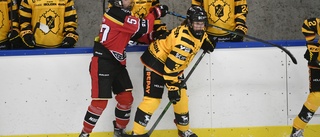 AIK-spelaren hyllas efter poängsuccén: ”En klippa – håller ihop laget”