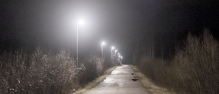 Mörkret är här igen – då tänds lamporna i Skellefteå kommun