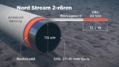 Expert: Nord Stream bör kunna repareras