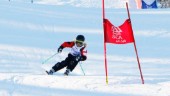 Slalompremiär i hemmabacken för Piteå Alpina