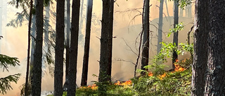 Skogsbranden söder om Åker lär ta flera dagar att släcka