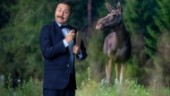David Sundin älgar vidare i SVT: "Största jag gjort?"