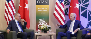 Biden gratulerar Erdogan efter Nato-beskedet