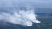 Skogsbränder i Kanada slår mörka rekord