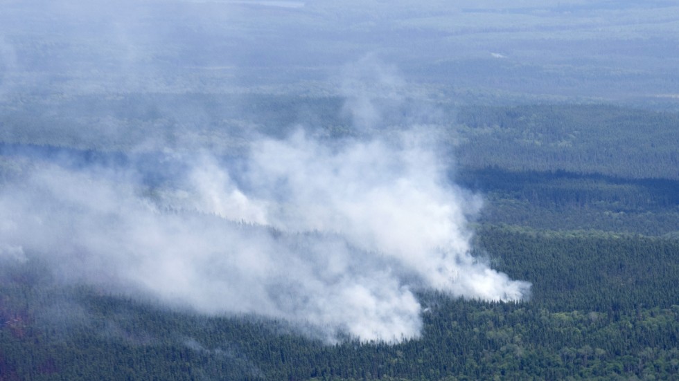 Flera hundra skogsbränder rasar för närvarande i Kanada. Här syns rök från en brand nära Lebel-sur-Quevillon i Quebec. Bilden togs 5 juli.