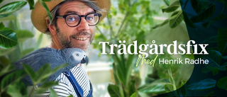 Trädgårdsfix med Henrik Radhe