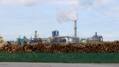 Ikea Industry sålde utsläppsrätter för 210 miljoner