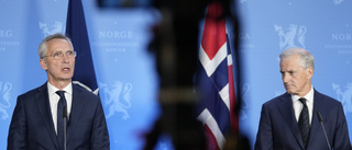 Stoltenberg: Sverige står inte ensamt