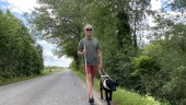 Obehagliga vägfynden – livsfara för blinda Johans ledarhund