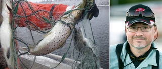 Spöknät fulla med fisk hittades i Luleå skärgård