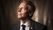 "Därför lyckades Per Bolund inte lyfta Miljöpartiet"