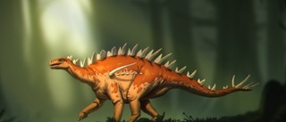 Världens kanske äldsta stegosaurier hittad