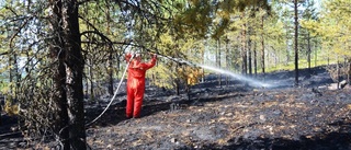 Skogsbrand i Hakkas