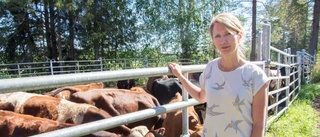 Mjölkbonden försvarar planerna på nedläggning