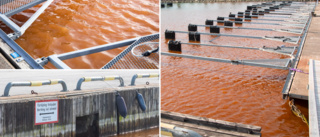 SE BILDERNA: Vattnet färgades rött i Visby hamn • Regionen: ”Kanske någon som hällt ut något”