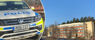 Polisen jagade tv-tjuvar på Djurgårdsberget: "Sökte med hund och annan patrull"
