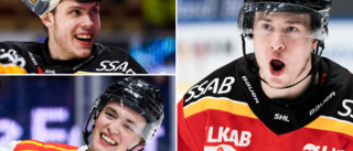 Nya avtalet ger Luleå Hockey mångmiljonbelopp – sportchefen: "Jag tycker spelarna är värda mer”