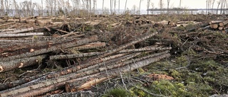 "Förändring i skogsbruket måste komma underifrån"