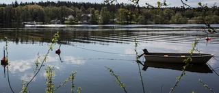 Sedimentprover kartlägger miljögifter i Mälaren