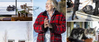 Tina väljer att bo på en ö i Luleå skärgård: "Stan är ingenting att ha" ✓ Friheten ✓ Utmaningarna ✓ Bästa årstiden