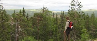 Sex nya naturreservat i Norrbotten