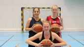 Lärorik säsong för baskettrio